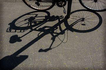 Antwerp Urban bike shade by Blond Beeld