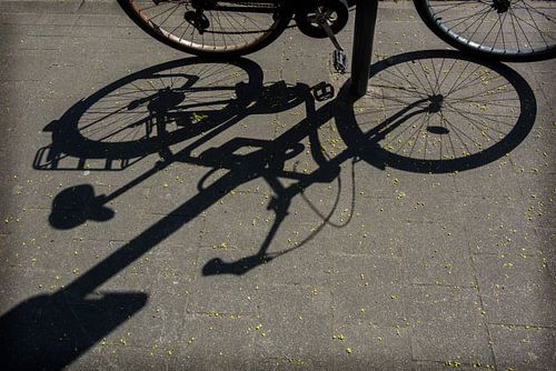 Antwerpen Urban  fiets schaduw