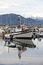 Boote im Hafen von Ajaccio, Korsika. von Kees van Dun Miniaturansicht