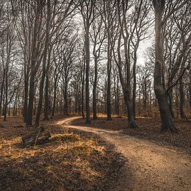 Kroondomein Het Loo van rosstek ®