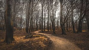 Kroondomein Het Loo