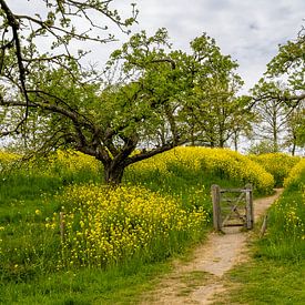 Dutch Waterline Schalkwijk by Frank Lavooij