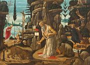 Der reuige St. Jerome, Jacopo da Sellaio von Meisterhafte Meister Miniaturansicht