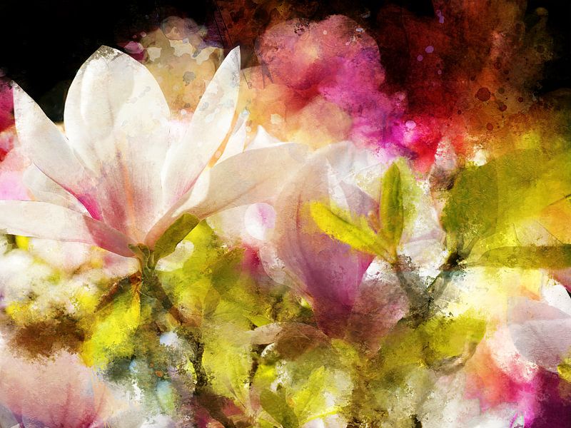 magnolia van Andreas Wemmje