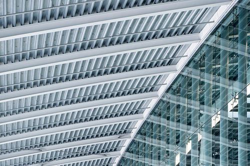 Minimalisme in het Utrechtse stationsgebied: Utrecht Centraal