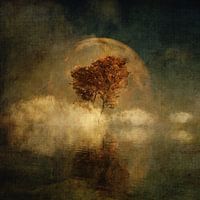 Vollmond über Wasser