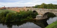 Orbigo Bridge (Puente de Órbigo), an important landmark for pilgrims  on the Camino de Santiago