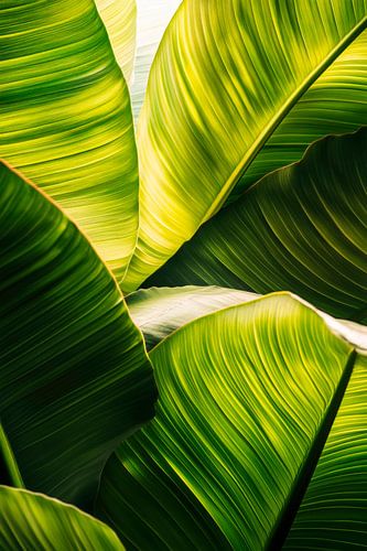 Feuilles vertes