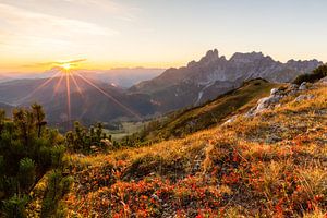 Berglandschaft "Herbstlicher Sonnenuntergang in den Bergen"