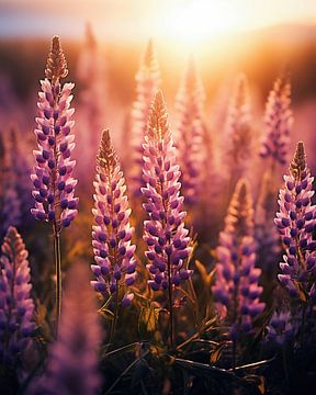 Wilde bloemen in de natuur bij zonsondergang van fernlichtsicht
