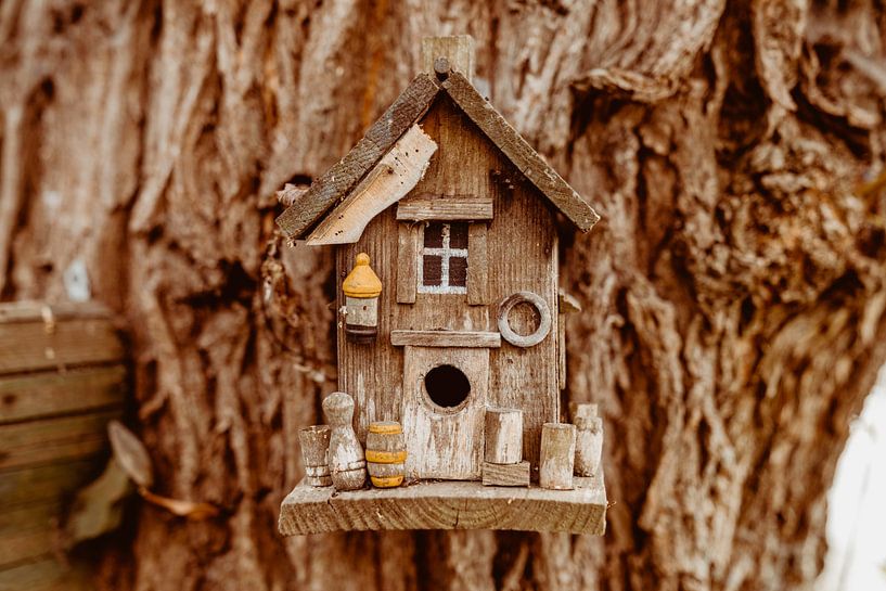 Unique birdhouse on tree by Nienke Anne Photography