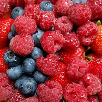Berry Bonanza