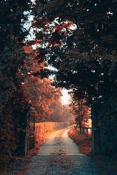 Beau chemin à travers une clôture en automne sur Marjolein Schattevoet