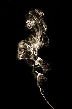 smoke horse von HP Fotografie