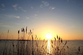 Morgenstimmung im Winter