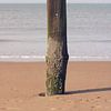 Strandpaal sur Cinthia Mulders