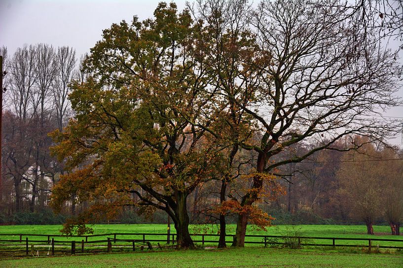 l'Oer rural par Edgar Schermaul