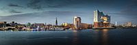 Panorama des Hamburger Hafens bei St. Pauli / Landungsbrücken von Jonas Weinitschke Miniaturansicht