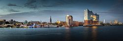 Skyline von Hamburg mit Elbphilharmonie bei Dämmerung