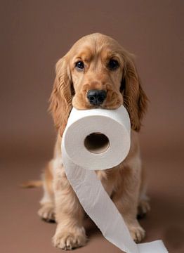 Schuldig oder unschuldig? von Artforyou  werk van Henk Adriani