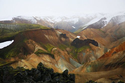 A kaleidoscope of colors