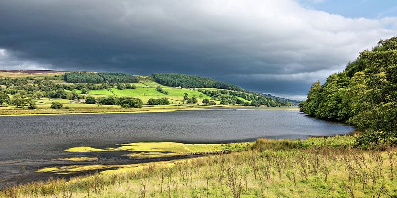 Gouthwaite Reservoir im Nidderdale par Gisela Scheffbuch