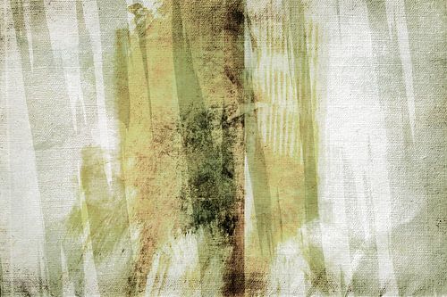 In het bos in de zomer