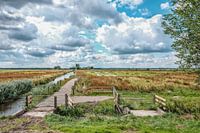 Polder Hoeksche Waard