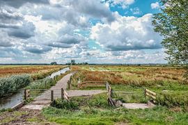 Polder Hoeksche Waard by Wessel Krul