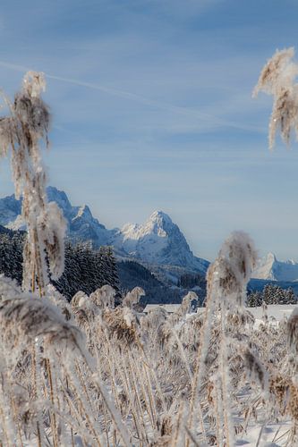 Waxenstein im Winter