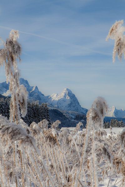 Waxenstein en hiver par Fabian Roessler