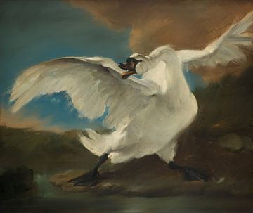 De bedreigde zwaan, zonder tekst en opnieuw geschilderd, naar het schilderij van Jan Asselijn,