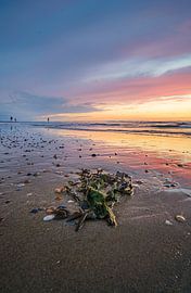 Zeeland coast at sunset by Fotografiecor .nl