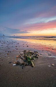 Côte zélandaise au coucher du soleil