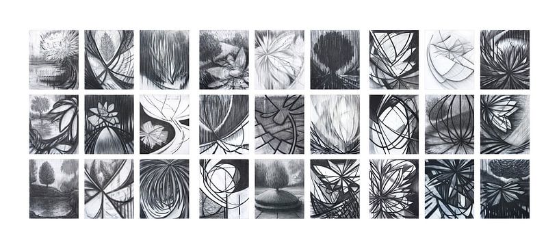 Secrets Revealed Series 1-3 / 2009 by Hans Zantman