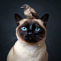 Funny animal portrait of Siamese cat and bird