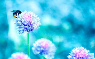 Flowers and bees