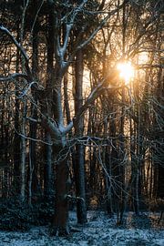 Kalt und heiß treffen aufeinander