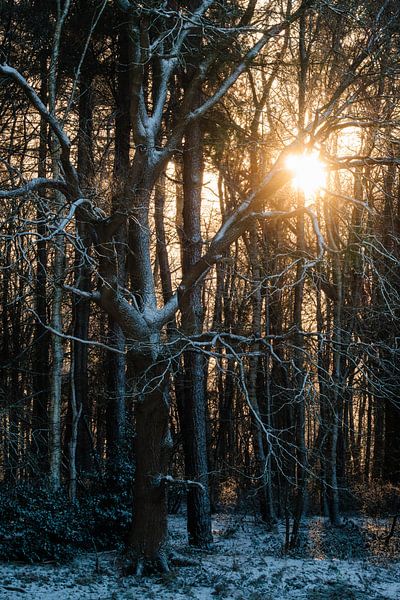 Rencontre entre le froid et le chaud par Nature Laurie Fotografie