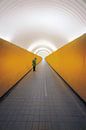 Stockholm Yellow White by Iman Azizi thumbnail
