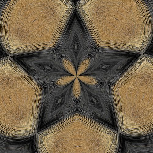 Caleidoscoop van Carla van Zomeren