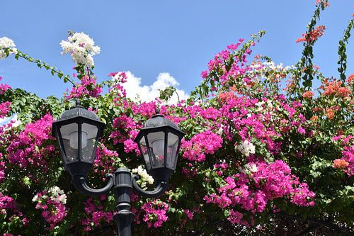 Een straatlantaarn in de stad
