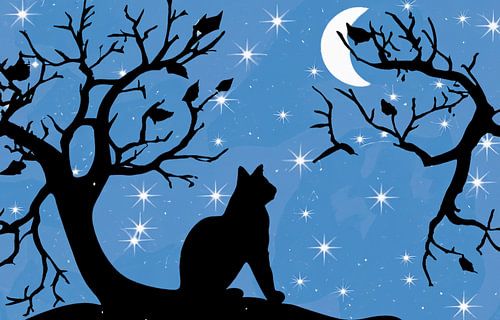 Een kat met maan en sterren op een tak illustratie