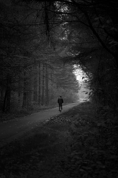 Old man cycles in the forest by Luis Boullosa