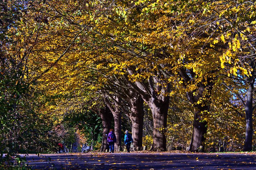 Sentier de randonnée par Edgar Schermaul
