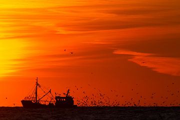 Vissersboot bij ondergaande zon met meeuwen van Menno van Duijn