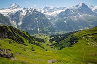 Zomer op de Grindelwald Eerste wandelroute met Schreckhorn en Eiger in de Berner Alpen in Zwitserlan van Martin Steiner thumbnail