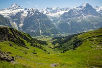 Zomer op de Grindelwald Eerste wandelroute met Schreckhorn en Eiger in de Berner Alpen in Zwitserlan