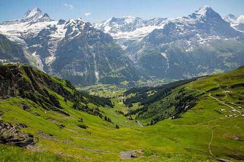 Sommer auf der Grindelwald First Wanderweg mit Schreckhorn und Eiger in den Berner Alpen in der Schw