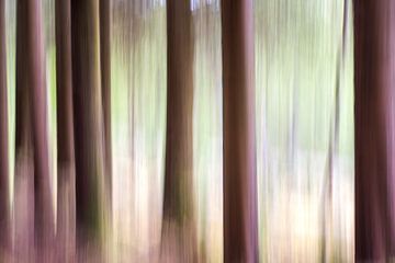 Forêt Abstraite sur Markus Stauffer